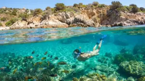 Persona che fa snorkeling in acque cristalline tra pesci colorati e fondali rocciosi vicino a una costa mediterranea
